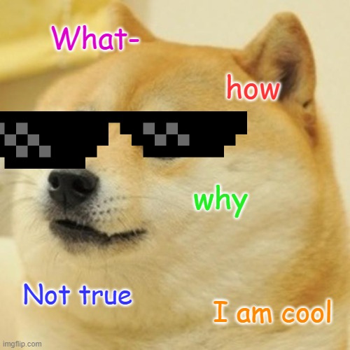 Doge Meme | What- how why Not true I am cool | image tagged in memes,doge | made w/ Imgflip meme maker