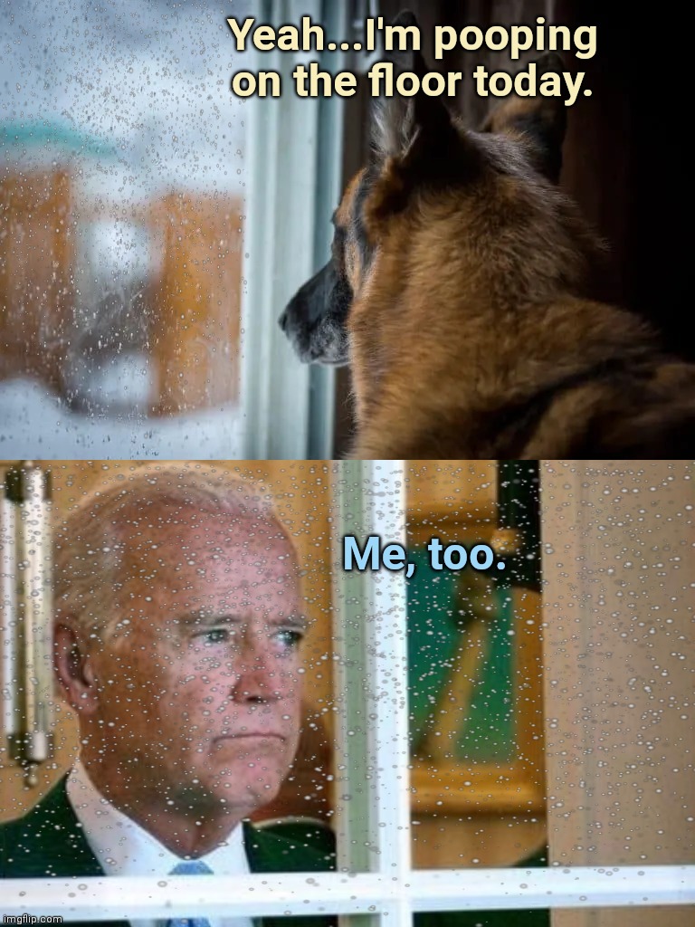 The weather outside is frightful and the floor looks so delightful | Yeah...I'm pooping on the floor today. Me, too. | image tagged in german shepherd watch snow,joe biden worries,dementia,winter,snow,political humor | made w/ Imgflip meme maker