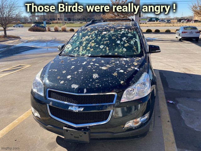 Don't play it in the car |  Those Birds were really angry ! | image tagged in angry birds,real life,bad luck,secure parking | made w/ Imgflip meme maker