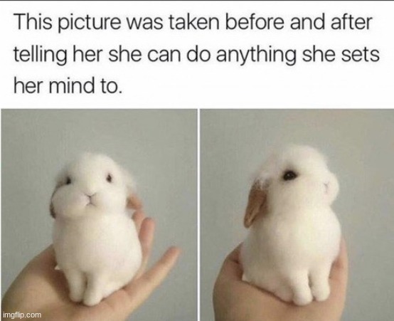 she looks smart for some reason lol | made w/ Imgflip meme maker
