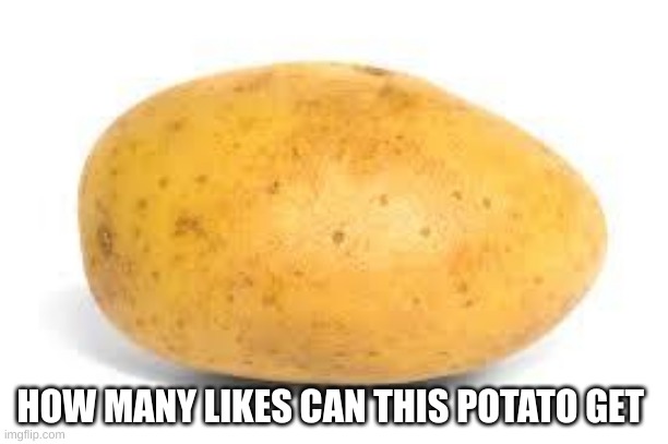 Potato | HOW MANY LIKES CAN THIS POTATO GET | image tagged in potato | made w/ Imgflip meme maker