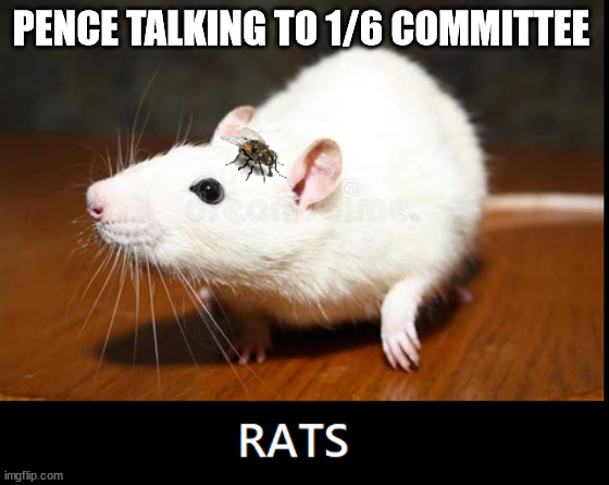 Pence talking to 1/6 Committee | PENCE TALKING TO 1/6 COMMITTEE | image tagged in investigation,mike pence,rats,donald trump | made w/ Imgflip meme maker