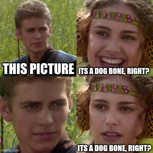 Anakin Padme 4 Panel | THIS PICTURE ITS A DOG BONE, RIGHT? ITS A DOG BONE, RIGHT? | image tagged in anakin padme 4 panel | made w/ Imgflip meme maker