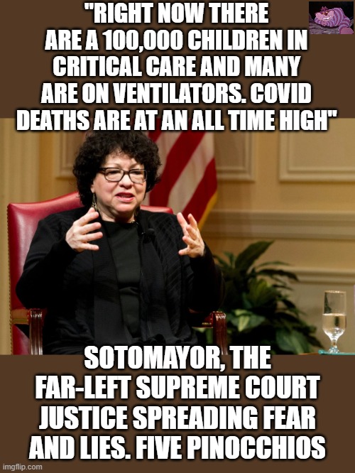 This is happens when you have an unqualified diversity hire. | "RIGHT NOW THERE ARE A 100,000 CHILDREN IN CRITICAL CARE AND MANY ARE ON VENTILATORS. COVID DEATHS ARE AT AN ALL TIME HIGH"; SOTOMAYOR, THE FAR-LEFT SUPREME COURT JUSTICE SPREADING FEAR AND LIES. FIVE PINOCCHIOS | image tagged in sotomayor | made w/ Imgflip meme maker