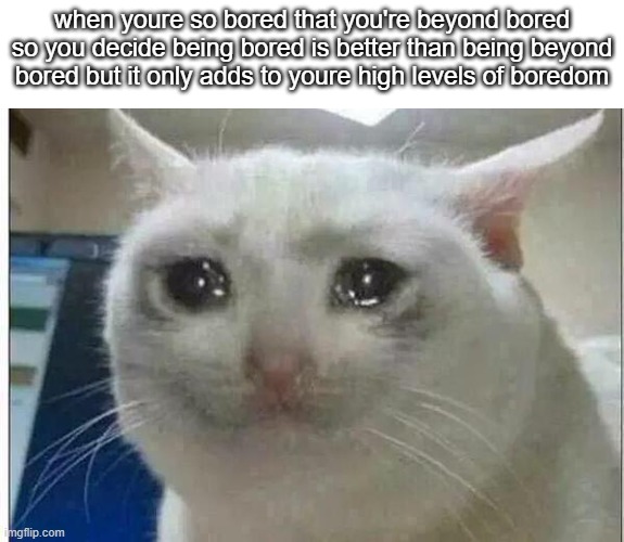 im bored lol | when youre so bored that you're beyond bored so you decide being bored is better than being beyond bored but it only adds to youre high levels of boredom | image tagged in crying cat | made w/ Imgflip meme maker