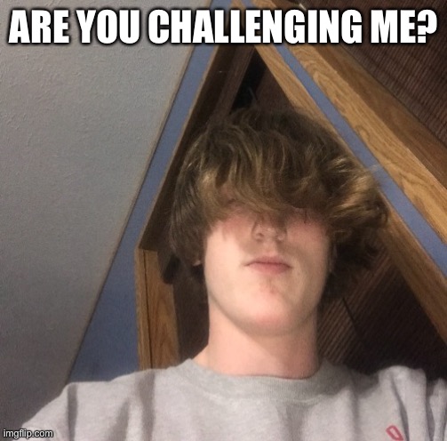 ARE YOU CHALLENGING ME? | made w/ Imgflip meme maker