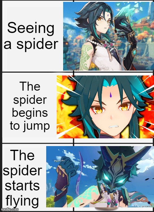 Yes |  Seeing a spider; The spider begins to jump; The spider starts flying | image tagged in memes | made w/ Imgflip meme maker