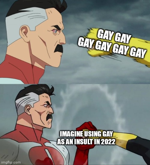 How to be politically correct in chat |  GAY GAY GAY GAY GAY GAY; IMAGINE USING GAY AS AN INSULT IN 2022 | image tagged in omni man blocks punch | made w/ Imgflip meme maker