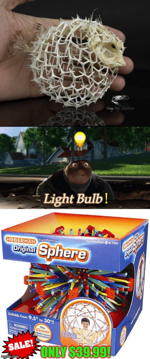 Grutie and the Blowfish | ! ONLY $39.99! | image tagged in gru,blowfish,toy,idea,lightbulb | made w/ Imgflip meme maker