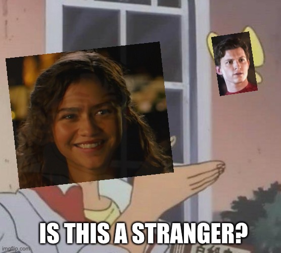 I’m sorry :( | IS THIS A STRANGER? | image tagged in spiderman,peter parker,no way home,mj,michelle jones,marvel | made w/ Imgflip meme maker