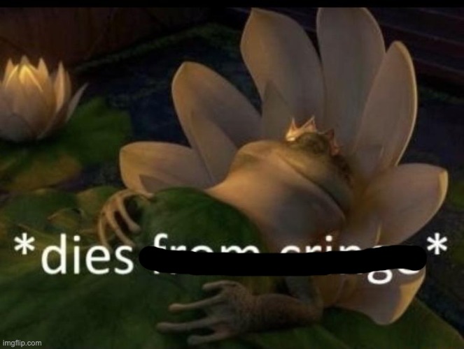 Dies from cringe | image tagged in dies from cringe | made w/ Imgflip meme maker