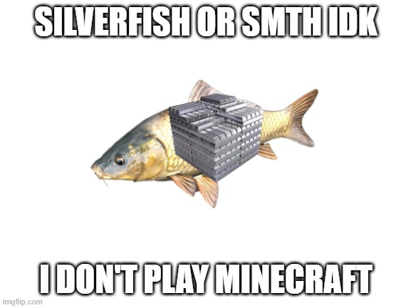 Silver fish | SILVERFISH OR SMTH IDK; I DON'T PLAY MINECRAFT | image tagged in blank white template | made w/ Imgflip meme maker