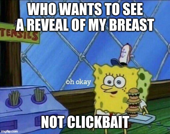 /j | WHO WANTS TO SEE A REVEAL OF MY BREAST; NOT CLICKBAIT | made w/ Imgflip meme maker
