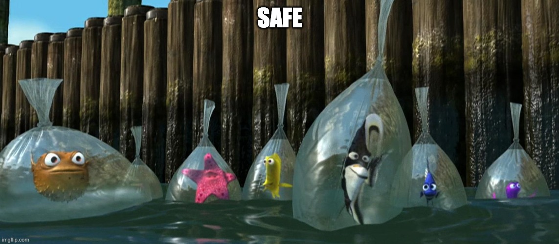 SAFE | SAFE | image tagged in now what - finding nemo | made w/ Imgflip meme maker