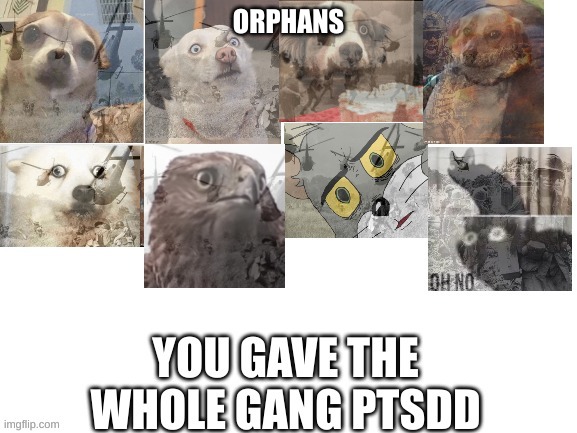 ptsd | ORPHANS | image tagged in ptsd | made w/ Imgflip meme maker