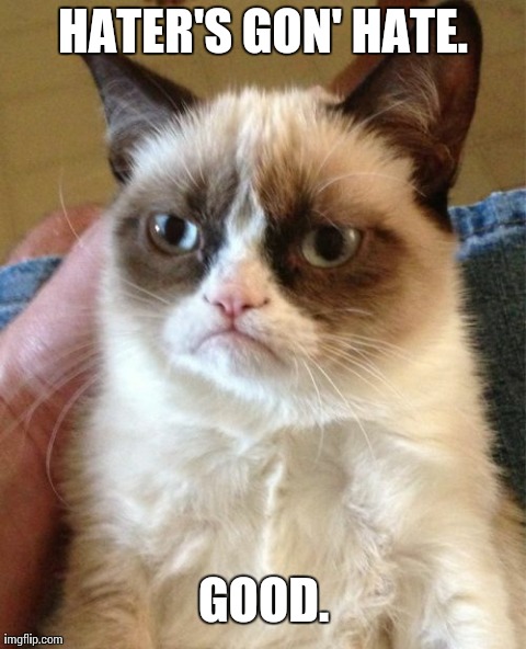 Haters gonna hate.... | HATER'S GON' HATE. GOOD. | image tagged in memes,grumpy cat | made w/ Imgflip meme maker