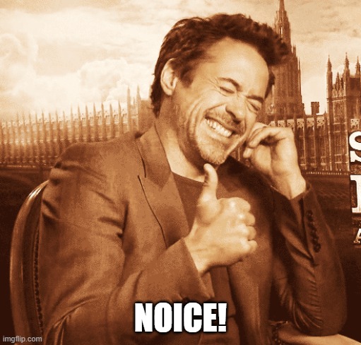 rdj thumbs up | NOICE! | image tagged in rdj thumbs up | made w/ Imgflip meme maker