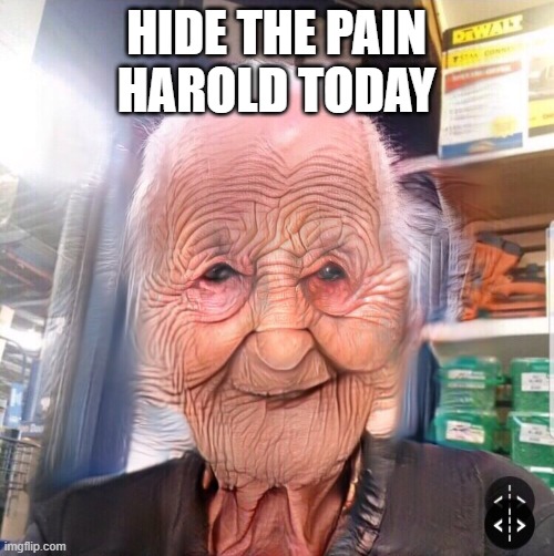 crease face | HIDE THE PAIN HAROLD TODAY | image tagged in crease face | made w/ Imgflip meme maker