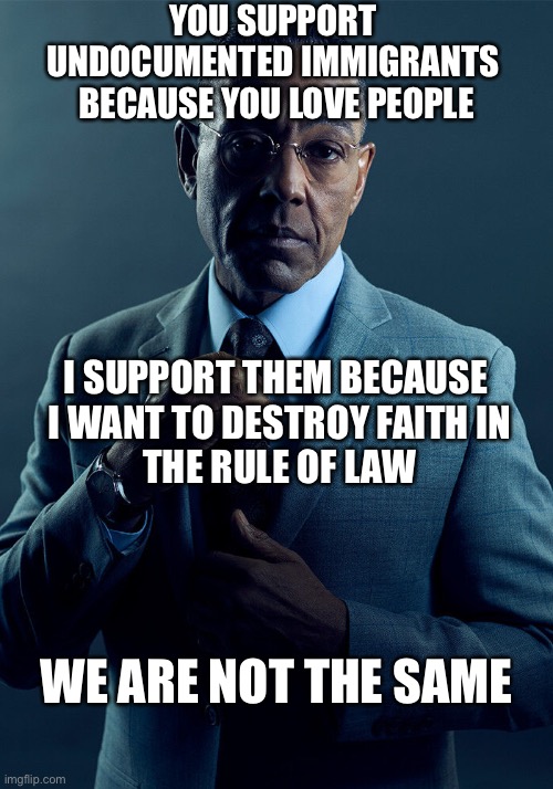 Laws: We know what they are, and what they are worth! They are spider webs for the rich and mighty, steel chains for the poor an | YOU SUPPORT 
UNDOCUMENTED IMMIGRANTS 
BECAUSE YOU LOVE PEOPLE; I SUPPORT THEM BECAUSE
 I WANT TO DESTROY FAITH IN
 THE RULE OF LAW; WE ARE NOT THE SAME | image tagged in gus fring we are not the same | made w/ Imgflip meme maker