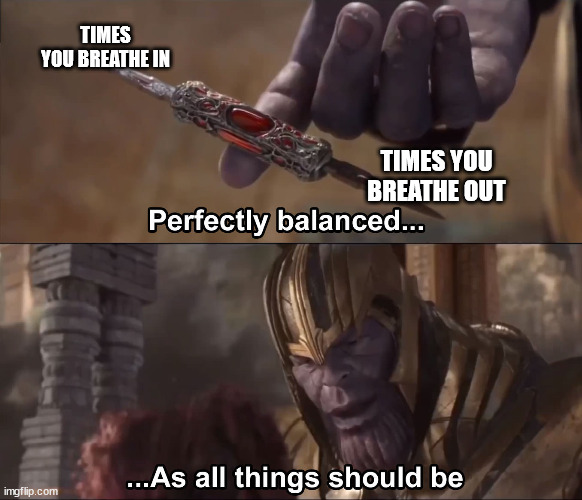 until you die | TIMES
YOU BREATHE IN; TIMES YOU BREATHE OUT | image tagged in thanos perfectly balanced as all things should be | made w/ Imgflip meme maker