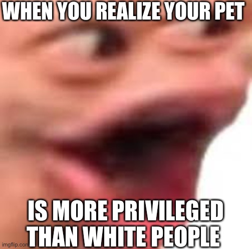 lol | WHEN YOU REALIZE YOUR PET; IS MORE PRIVILEGED THAN WHITE PEOPLE | image tagged in ultimate pog | made w/ Imgflip meme maker