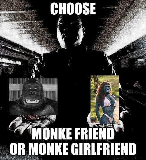 monke | CHOOSE; MONKE FRIEND OR MONKE GIRLFRIEND | image tagged in you must choose one,monke,monke girlfriend | made w/ Imgflip meme maker