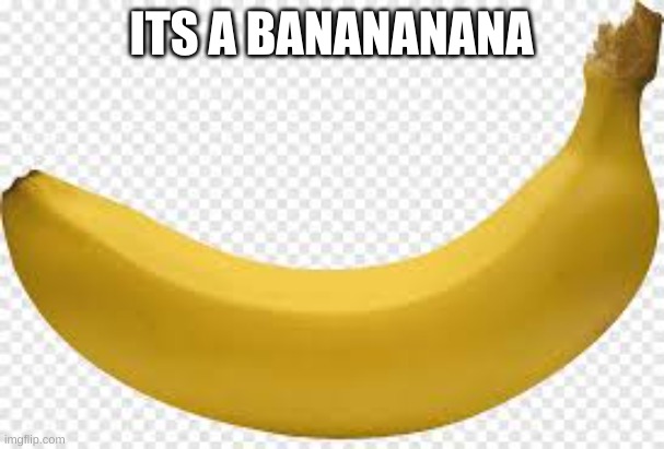 Banananana | ITS A BANANANANA | image tagged in banananana | made w/ Imgflip meme maker