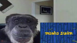 Monke swim Blank Meme Template