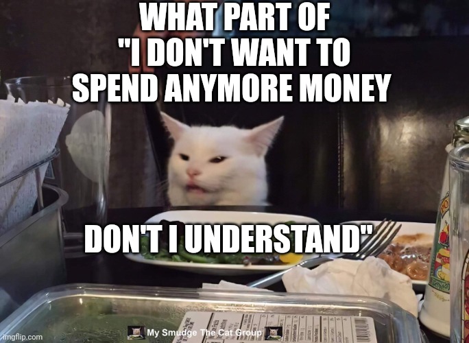 WHAT PART OF "I DON'T WANT TO SPEND ANYMORE MONEY; DON'T I UNDERSTAND" | image tagged in smudge the cat | made w/ Imgflip meme maker