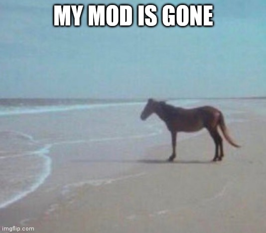 Man Horse Water | MY MOD IS GONE | image tagged in man horse water | made w/ Imgflip meme maker