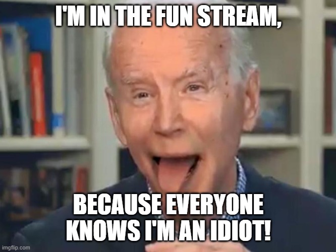 Joe Biden Tounge | I'M IN THE FUN STREAM, BECAUSE EVERYONE KNOWS I'M AN IDIOT! | image tagged in joe biden tounge | made w/ Imgflip meme maker