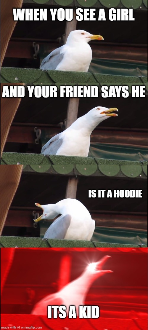 Inhaling Seagull | WHEN YOU SEE A GIRL; AND YOUR FRIEND SAYS HE; IS IT A HOODIE; ITS A KID | image tagged in memes,inhaling seagull | made w/ Imgflip meme maker