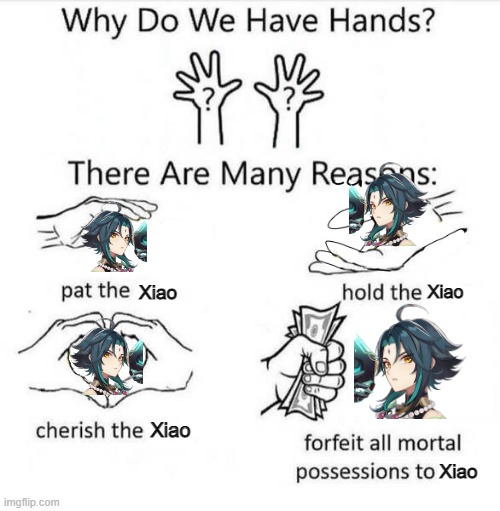Forfeit all possessions to Xiao | Xiao; Xiao; Xiao; Xiao | image tagged in why do we have hands,genshin impact,simp | made w/ Imgflip meme maker