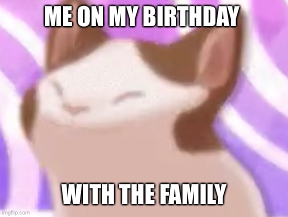 Happy birthday | ME ON MY BIRTHDAY; WITH THE FAMILY | image tagged in cats,funny cats | made w/ Imgflip meme maker