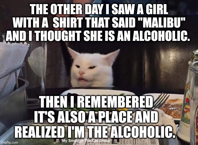 THE OTHER DAY I SAW A GIRL WITH A  SHIRT THAT SAID "MALIBU" AND I THOUGHT SHE IS AN ALCOHOLIC. THEN I REMEMBERED IT'S ALSO A PLACE AND REALIZED I'M THE ALCOHOLIC. | image tagged in smudge the cat | made w/ Imgflip meme maker