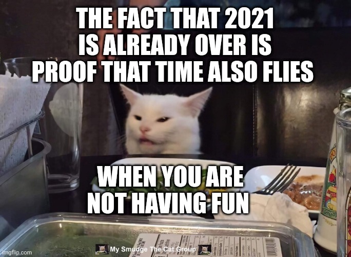 THE FACT THAT 2021 IS ALREADY OVER IS PROOF THAT TIME ALSO FLIES; WHEN YOU ARE NOT HAVING FUN | image tagged in smudge the cat | made w/ Imgflip meme maker