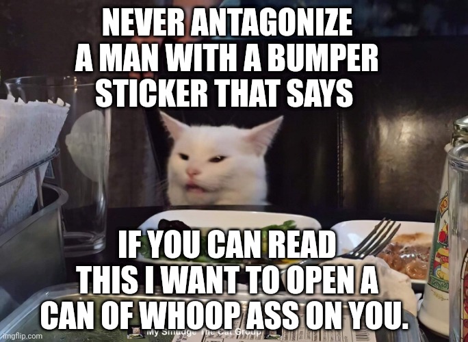 NEVER ANTAGONIZE A MAN WITH A BUMPER STICKER THAT SAYS; IF YOU CAN READ THIS I WANT TO OPEN A CAN OF WHOOP ASS ON YOU. | image tagged in smudge the cat | made w/ Imgflip meme maker