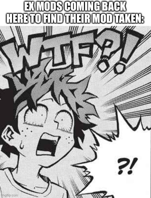 Deku WTF?! | EX MODS COMING BACK HERE TO FIND THEIR MOD TAKEN: | image tagged in deku wtf | made w/ Imgflip meme maker