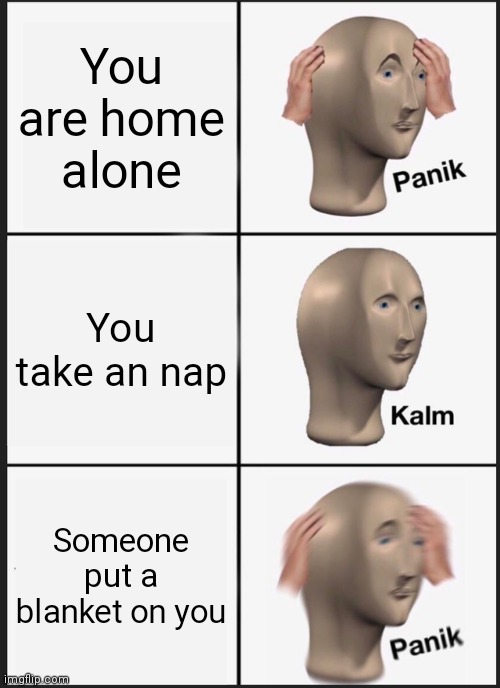 Help | You are home alone; You take an nap; Someone put a blanket on you | image tagged in memes,panik kalm panik | made w/ Imgflip meme maker