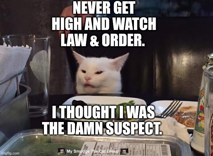 NEVER GET HIGH AND WATCH LAW & ORDER. I THOUGHT I WAS THE DAMN SUSPECT. | image tagged in smudge the cat | made w/ Imgflip meme maker