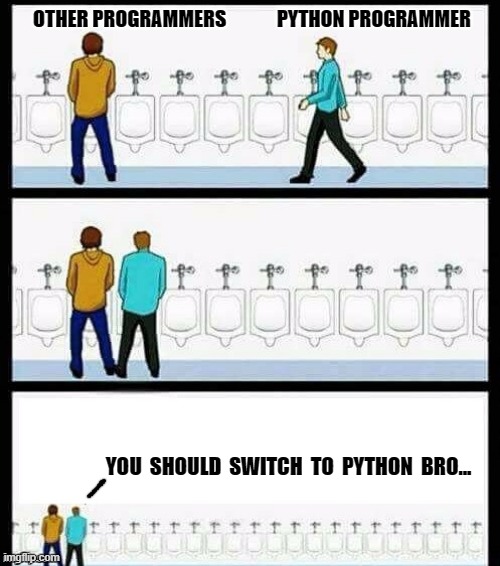 Urinal Guy (More text room) | OTHER PROGRAMMERS             PYTHON PROGRAMMER; YOU  SHOULD  SWITCH  TO  PYTHON  BRO... | image tagged in urinal guy more text room | made w/ Imgflip meme maker