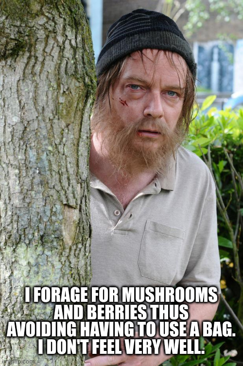 Rough Tramp | I FORAGE FOR MUSHROOMS AND BERRIES THUS AVOIDING HAVING TO USE A BAG.
I DON'T FEEL VERY WELL. | image tagged in rough tramp | made w/ Imgflip meme maker