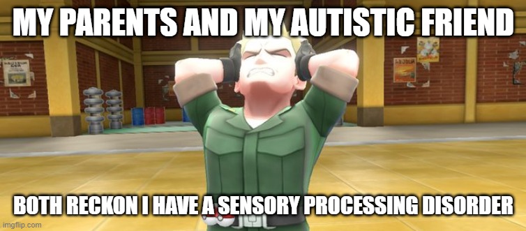 i mean i believe it too | MY PARENTS AND MY AUTISTIC FRIEND; BOTH RECKON I HAVE A SENSORY PROCESSING DISORDER | image tagged in lt surge in pain | made w/ Imgflip meme maker