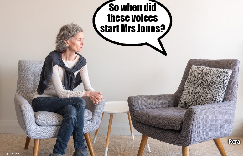 Voices | So when did these voices start Mrs Jones? Rora | image tagged in comedy | made w/ Imgflip meme maker