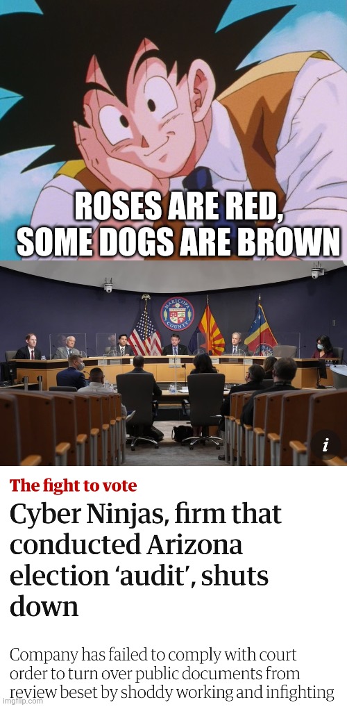 ROSES ARE RED, SOME DOGS ARE BROWN | image tagged in memes,condescending goku | made w/ Imgflip meme maker