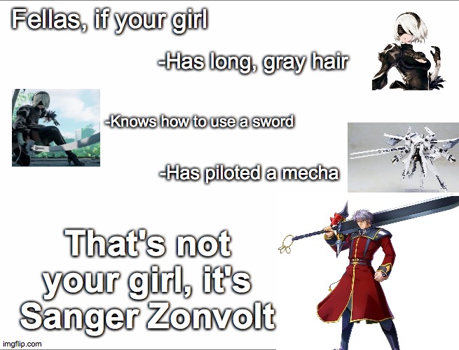 THE SWORD THAT CLEAVES EVIL | Fellas, if your girl; -Has long, gray hair; -Knows how to use a sword; -Has piloted a mecha; That's not your girl, it's Sanger Zonvolt | image tagged in dude if your girl | made w/ Imgflip meme maker