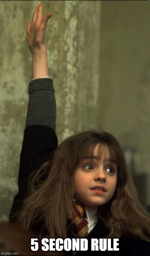 Hermione Granger | 5 SECOND RULE | image tagged in hermione granger | made w/ Imgflip meme maker