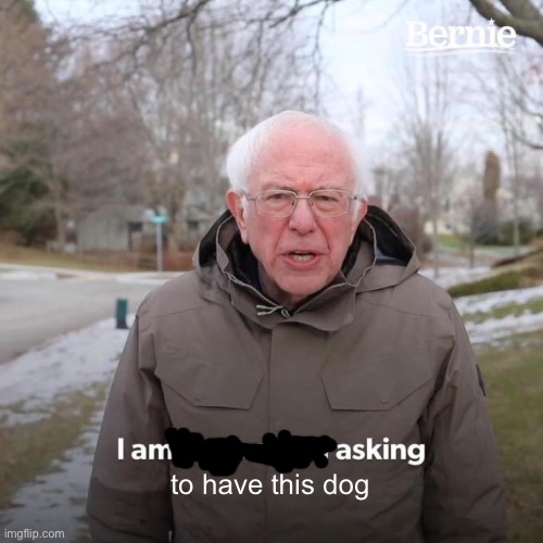 Bernie I Am Once Again Asking For Your Support Meme | to have this dog | image tagged in memes,bernie i am once again asking for your support | made w/ Imgflip meme maker