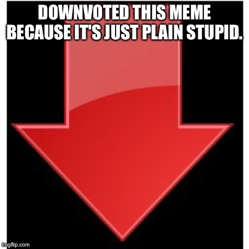 downvotes | DOWNVOTED THIS MEME BECAUSE IT'S JUST PLAIN STUPID. | image tagged in downvotes | made w/ Imgflip meme maker