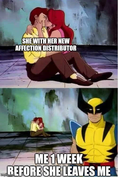 She just want affection | SHE WITH HER NEW AFFECTION DISTRIBUTOR; ME 1 WEEK BEFORE SHE LEAVES ME | image tagged in sad wolverine left out of party | made w/ Imgflip meme maker